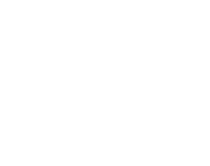 Wash100 Logo